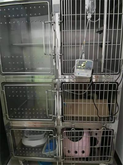 ͼƬ鿴