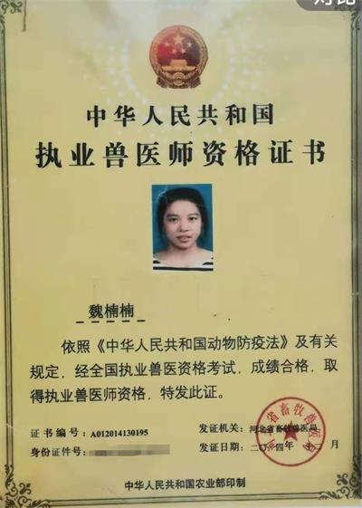 ͼƬ鿴