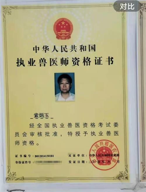 ͼƬ鿴